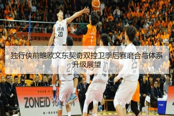 独行侠前瞻欧文东契奇双控卫季后赛磨合与体系升级展望